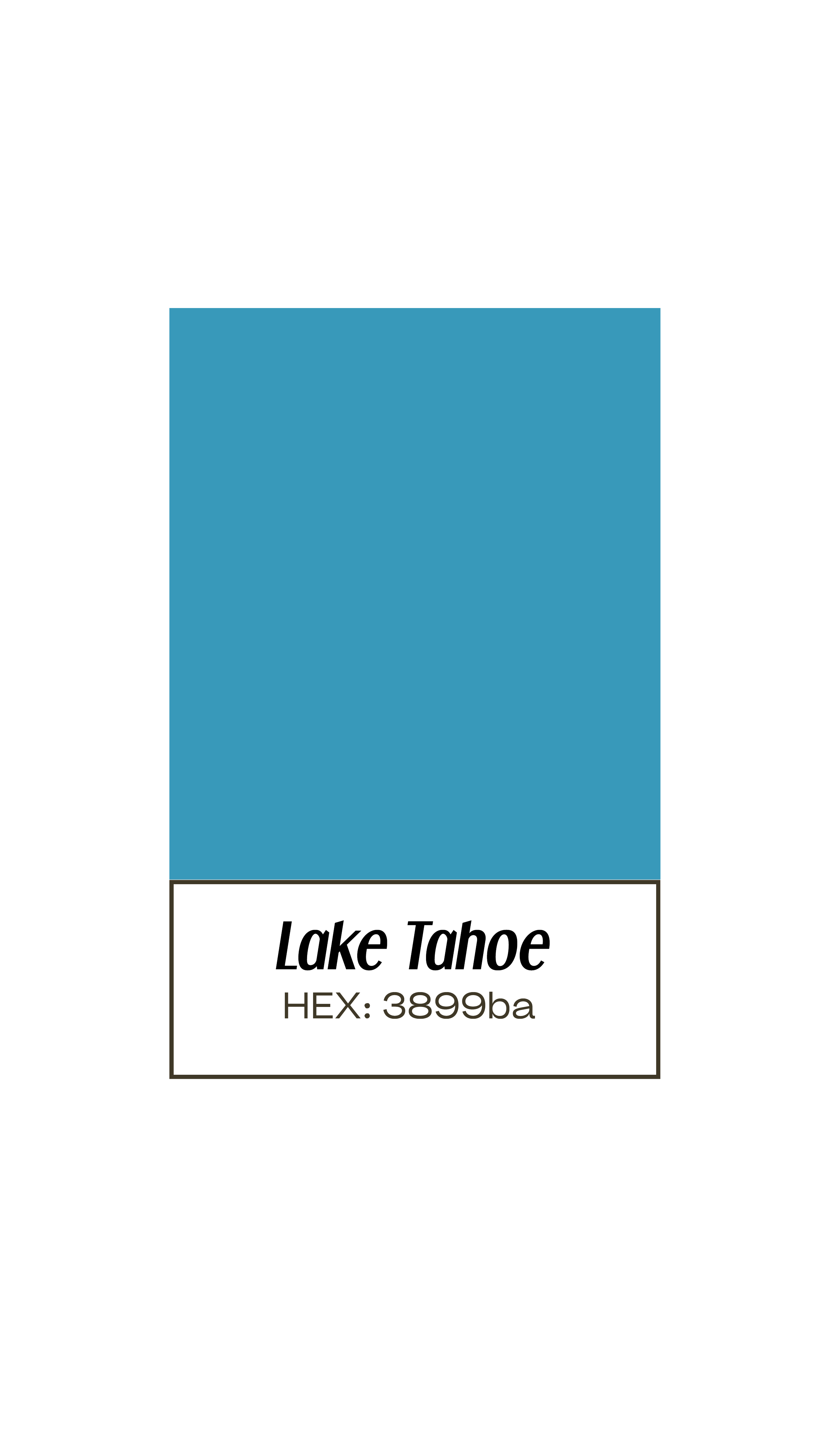 A color sample of Lake Tahoe with the HEX code 3899ba, displayed in a rectangular swatch with info written below.