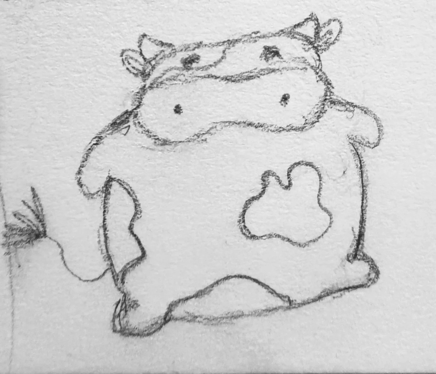 Hand-drawn sketch of the phat baby cow on a piece of paper.