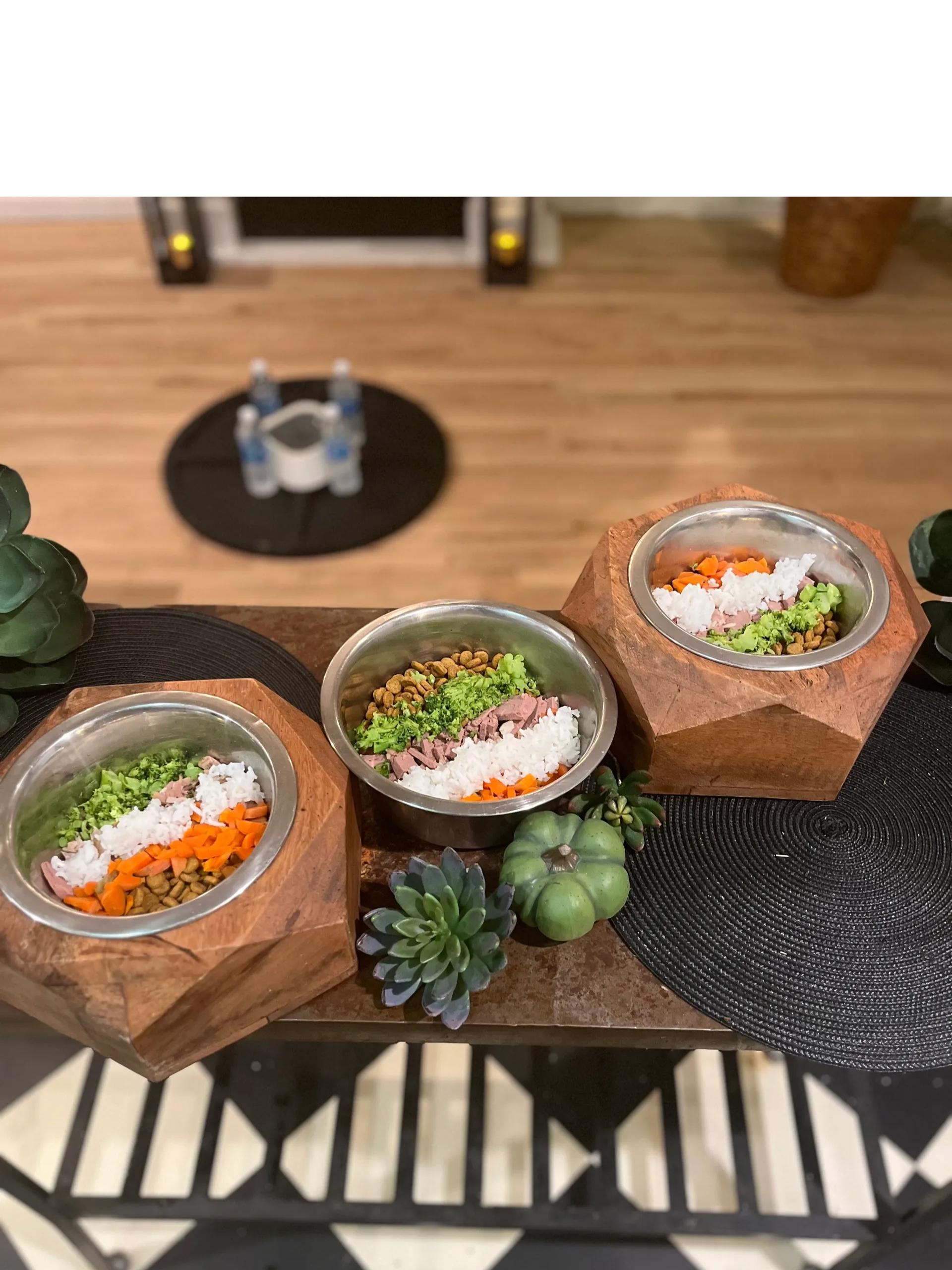 Two metal bowls filled with dog food and vegetables on a wooden table, surrounded by green succulents, with a black round placemat and a black-and-white tile floor in the background.