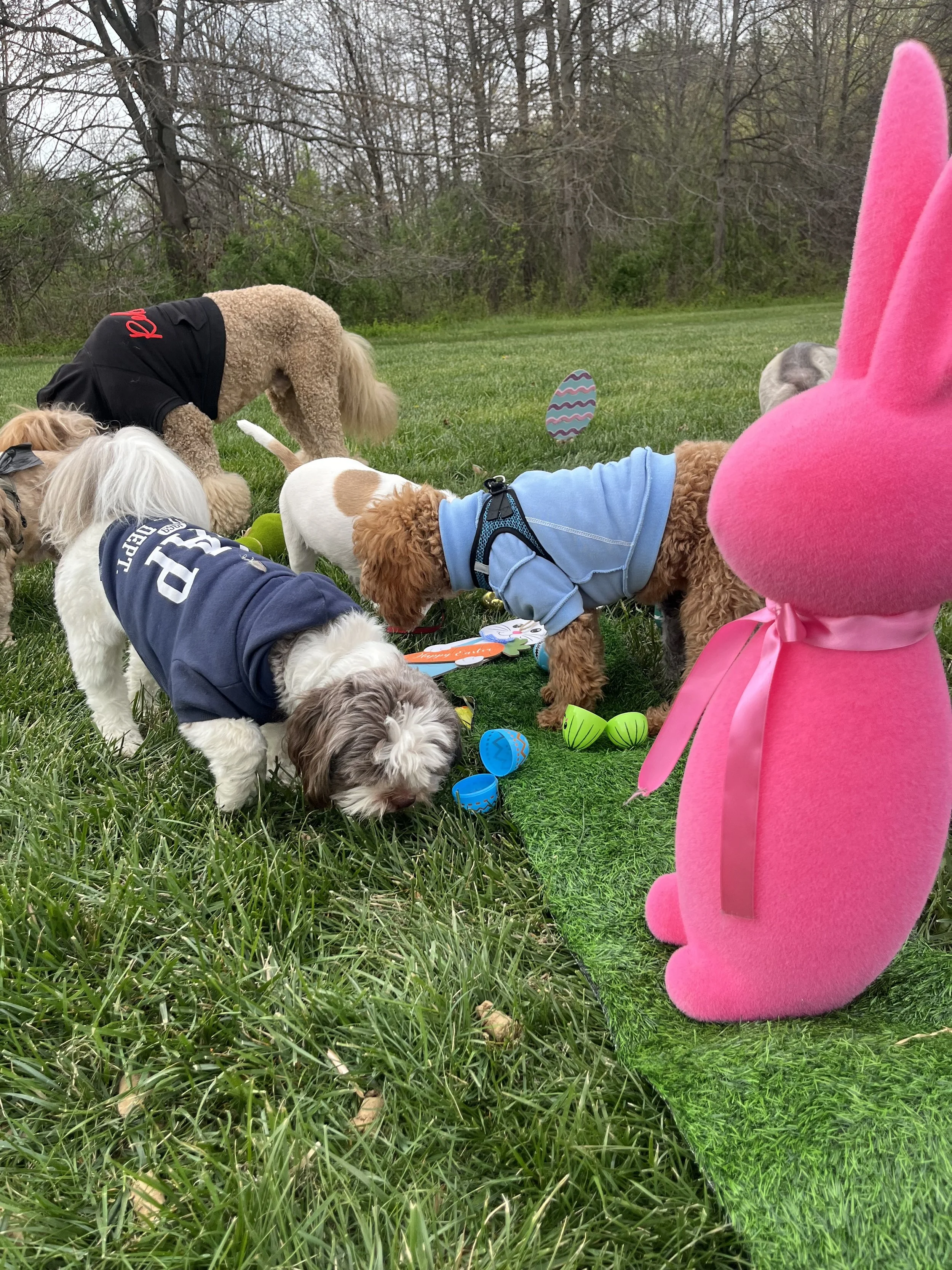 A group of dogs gathered outdoors on grass during Easter, some wearing clothes, with a pink Easter bunny costume visible on the right, and a decorative Easter egg in the background.