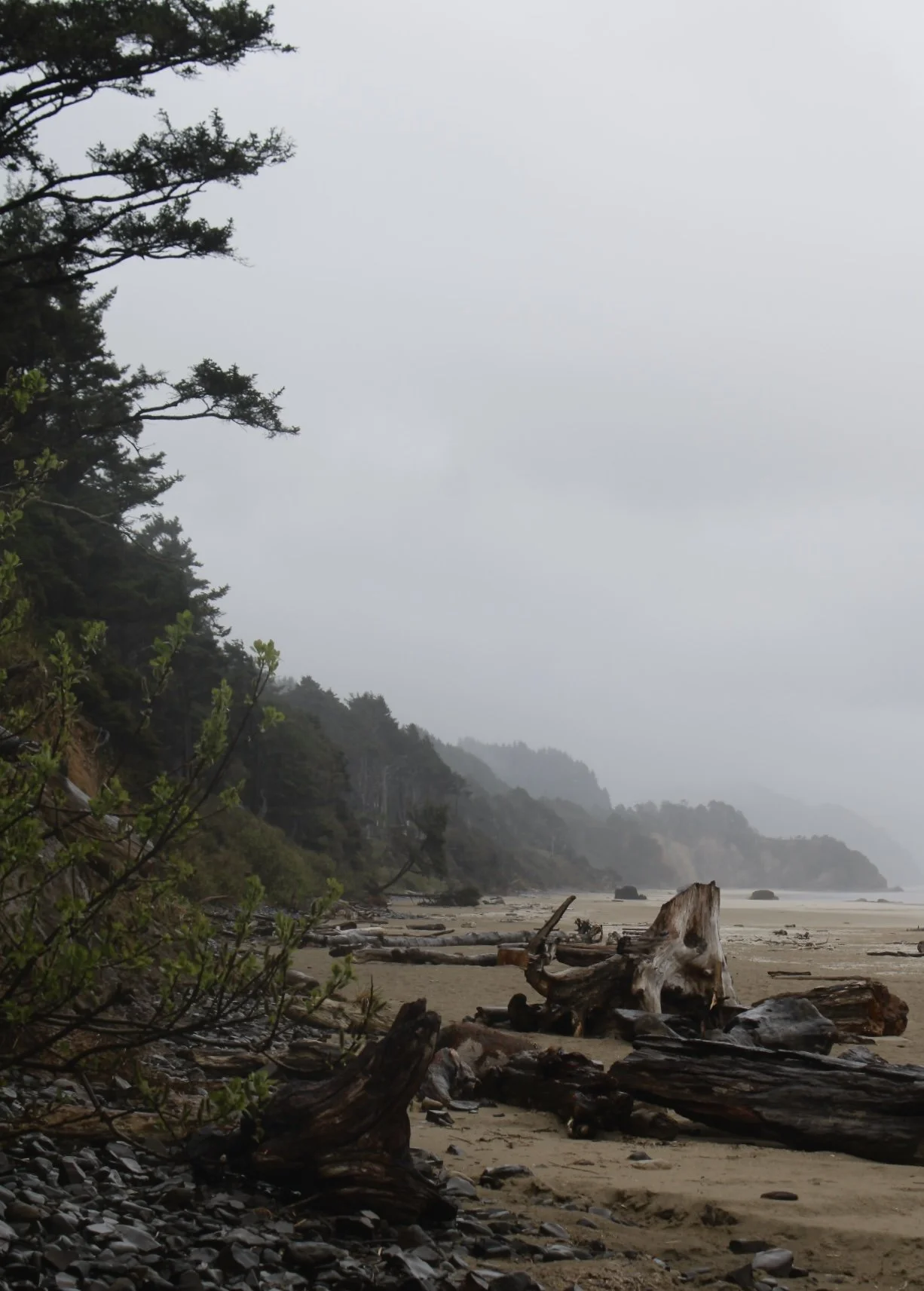 Cannon Beach, Oregon 