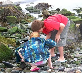 We enjoyed a wonderful tour of Newport and the Breakers Mansion. The kids enjoyed the beach along the way.