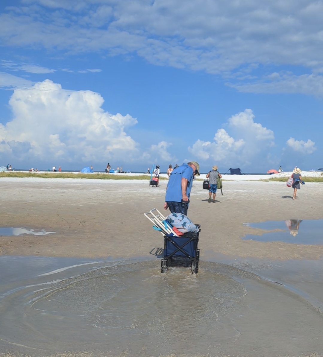 Beach wagon being pulled through shallow water on sandy beach.