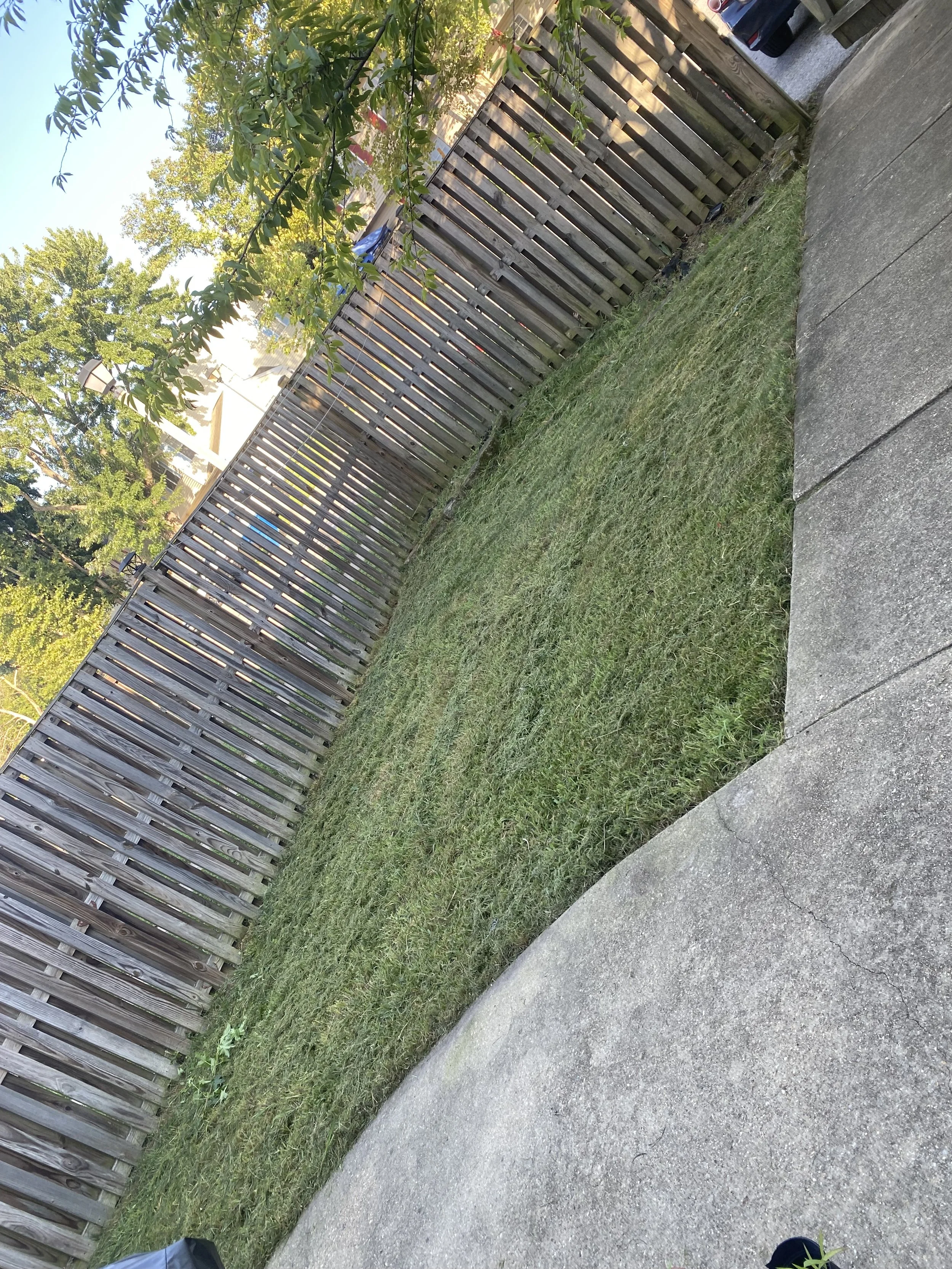 IMG_8909.jpeg