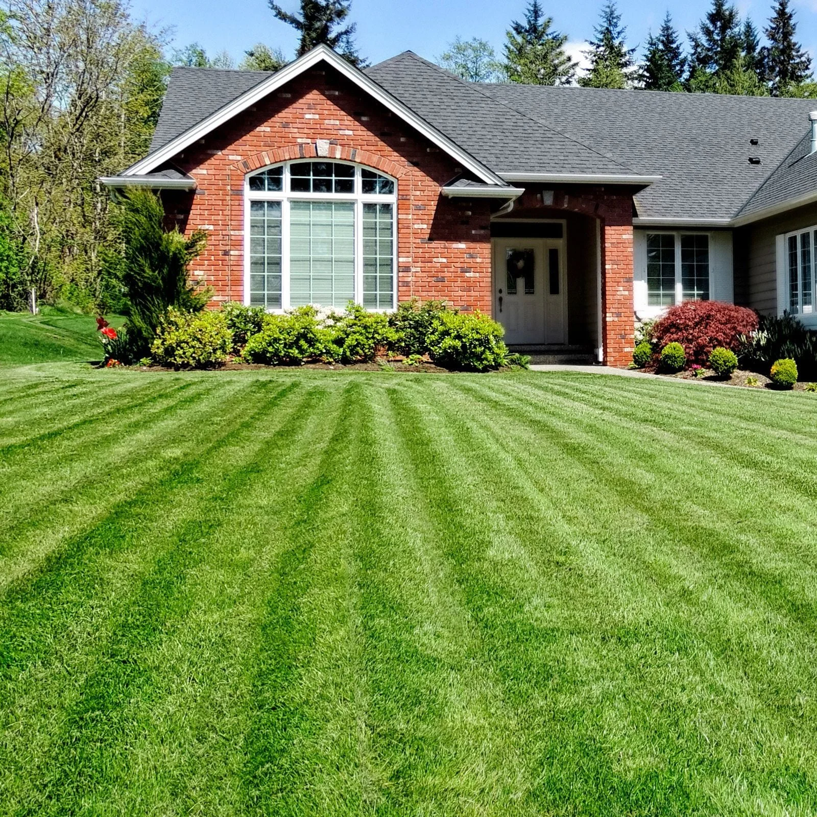 Lawn Care