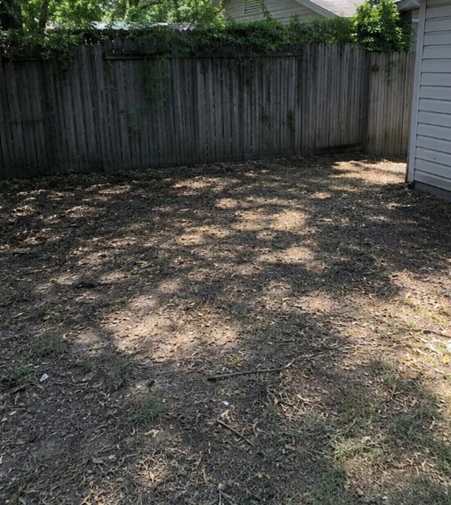 Yard after waste removal