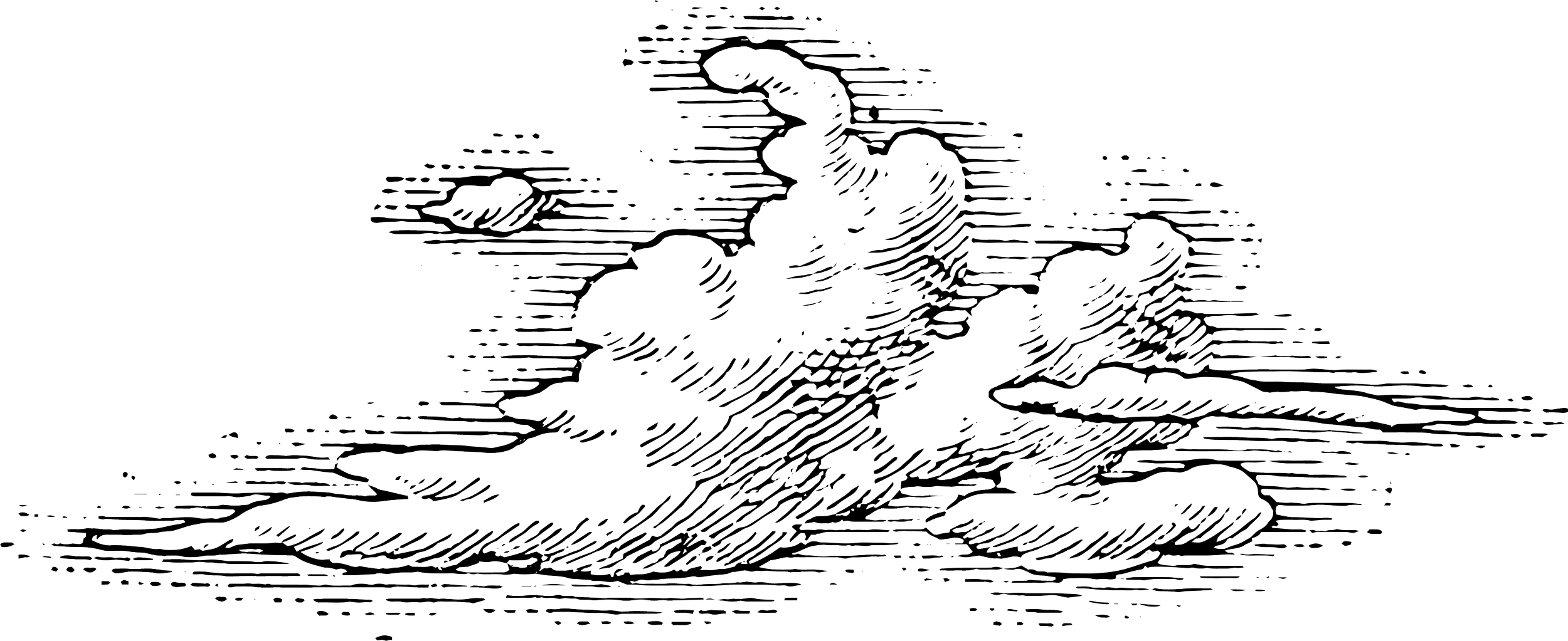 Line drawing of a group of ducks floating on a body of water, with a nature scene in the background.