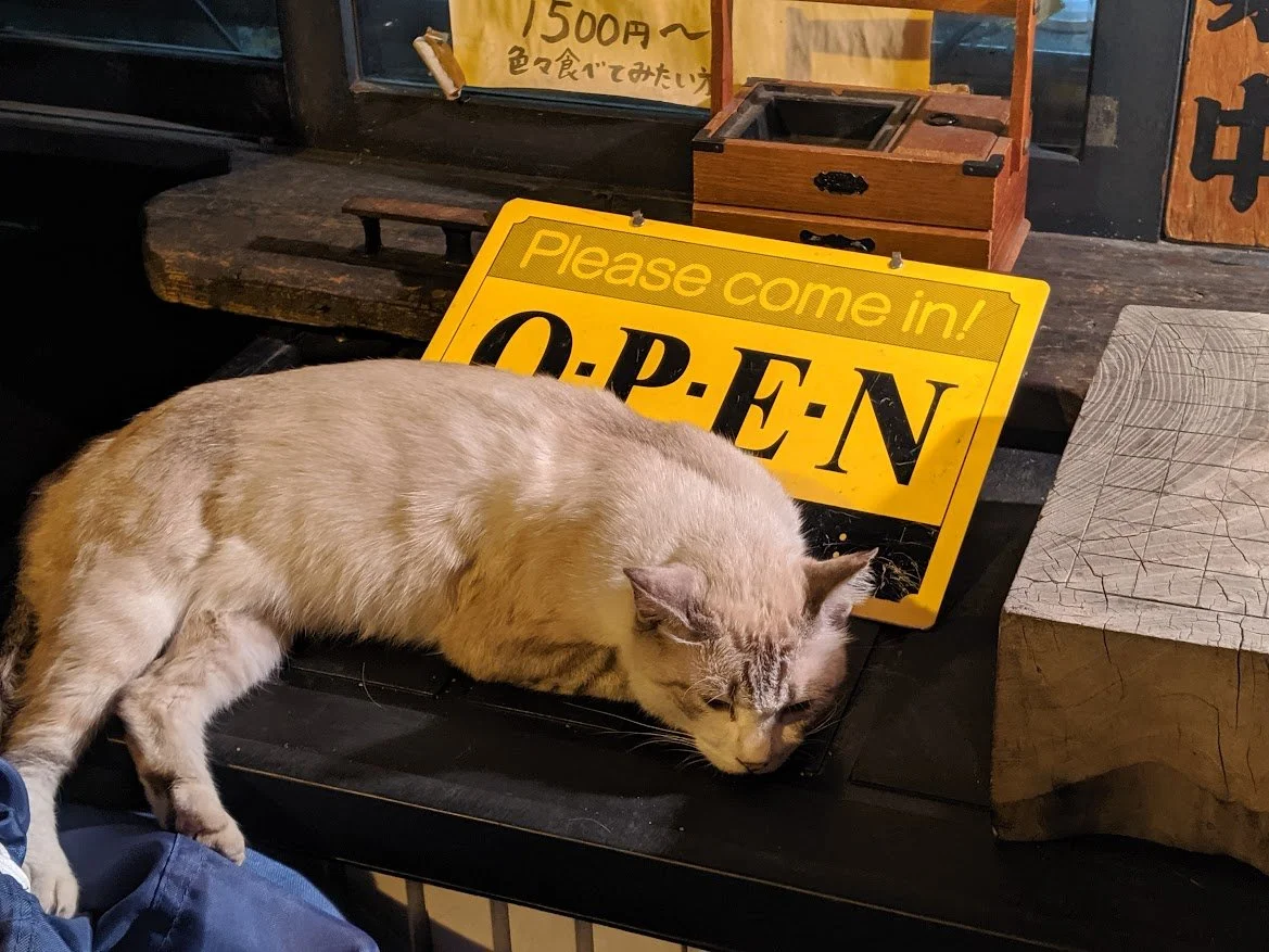 A beige cat is lying on a black table, sleeping with its head on a black object. Behind the cat, there is a yellow and black "Please come in! OPEN" sign. The setting appears to be a cozy, rustic shop or cafe with wooden furniture and signs.