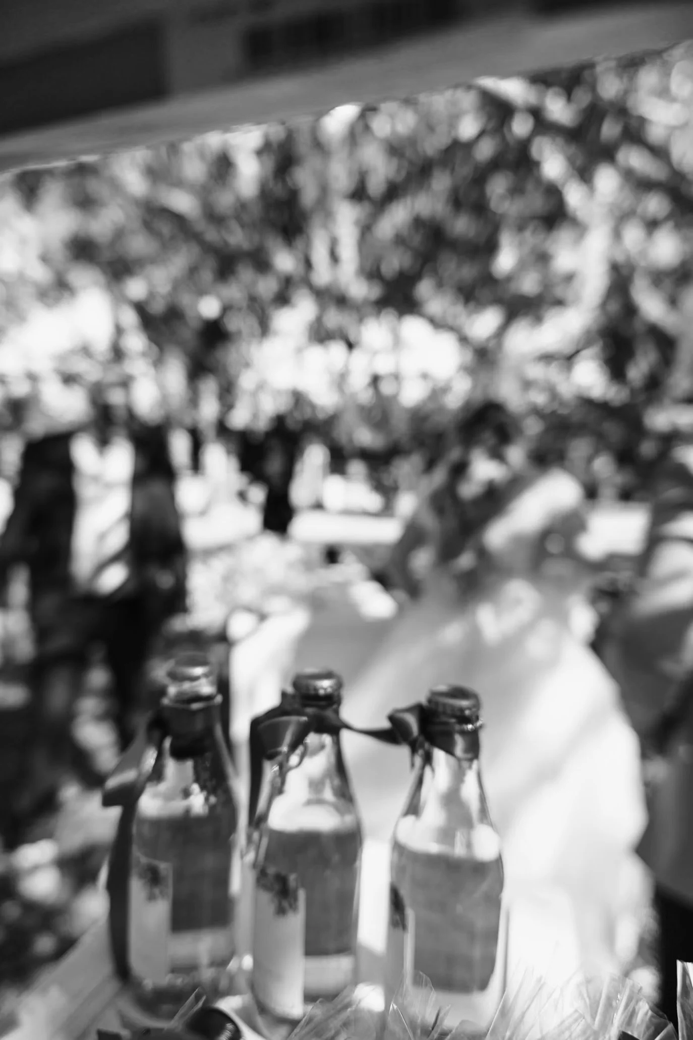 Black and white photo of several glass bottles with metallic caps, lined up in a row, with blurred background of trees and sky.