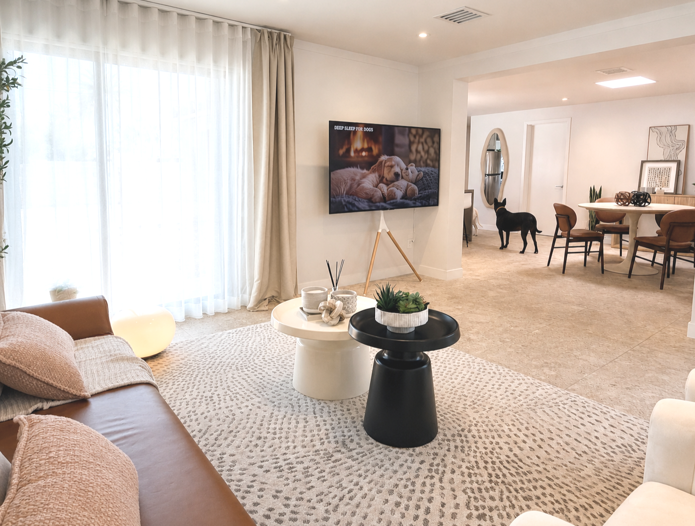 Pet-friendly North Phoenix studio rental with cozy living room seating, natural light, and styled space for photography and content creation.