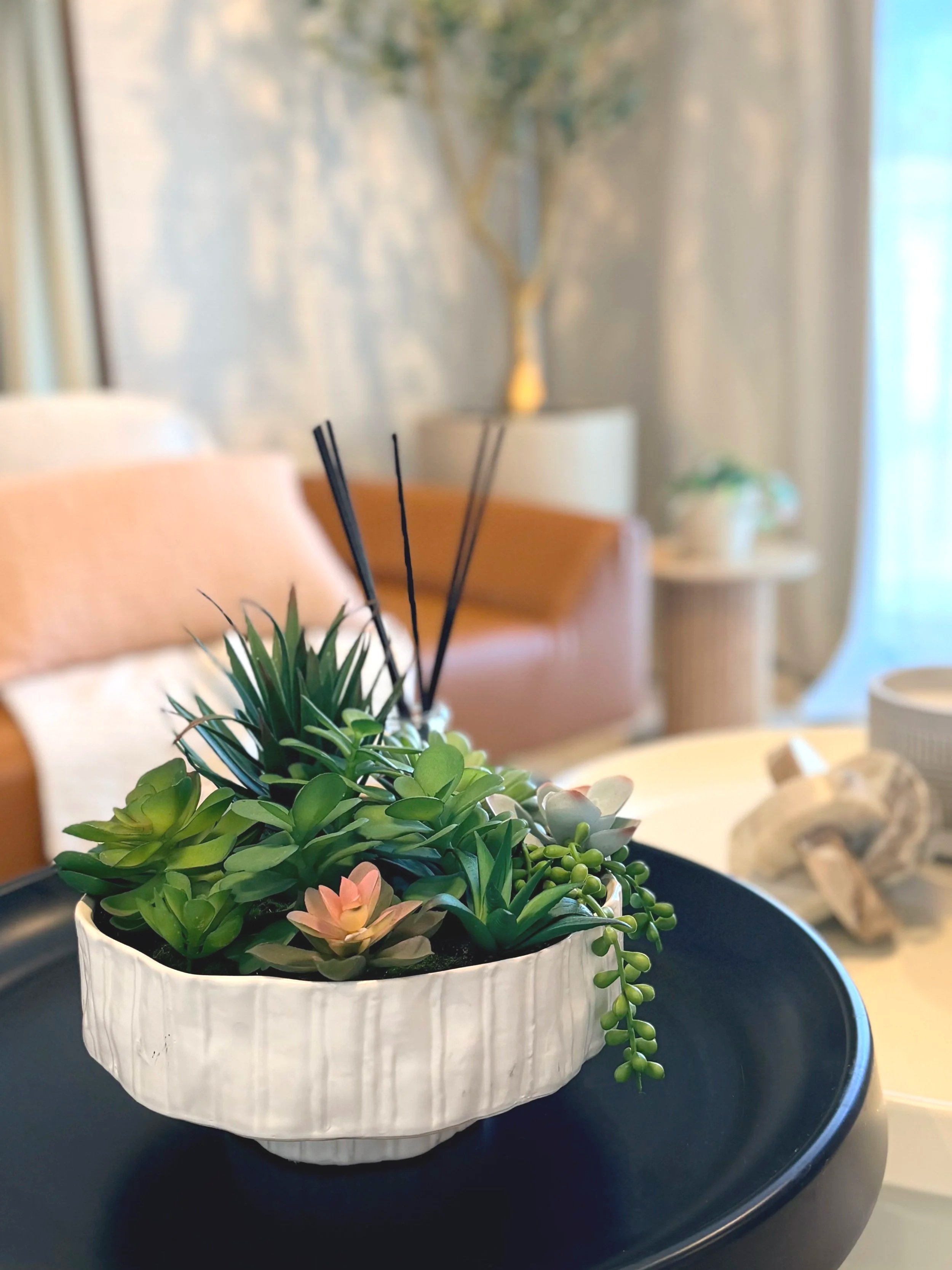 Decorative succulent arrangement inside Green Orange Studio, a styled content creation and photography studio rental in North Phoenix.