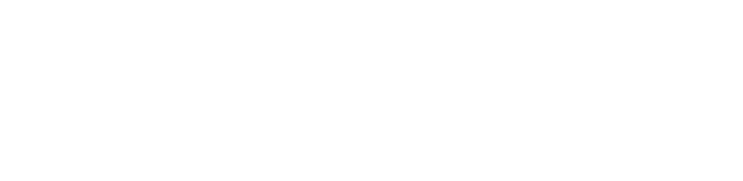 Absolute Foam Insulation Systems