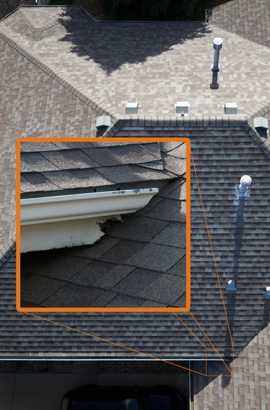 Roofing Assessment