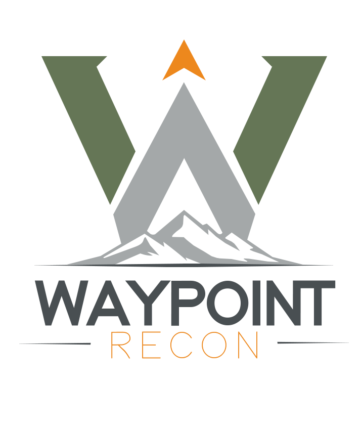 WAYPOINT RECON
