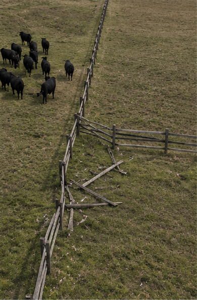 Ranch & Agricultural Solutions