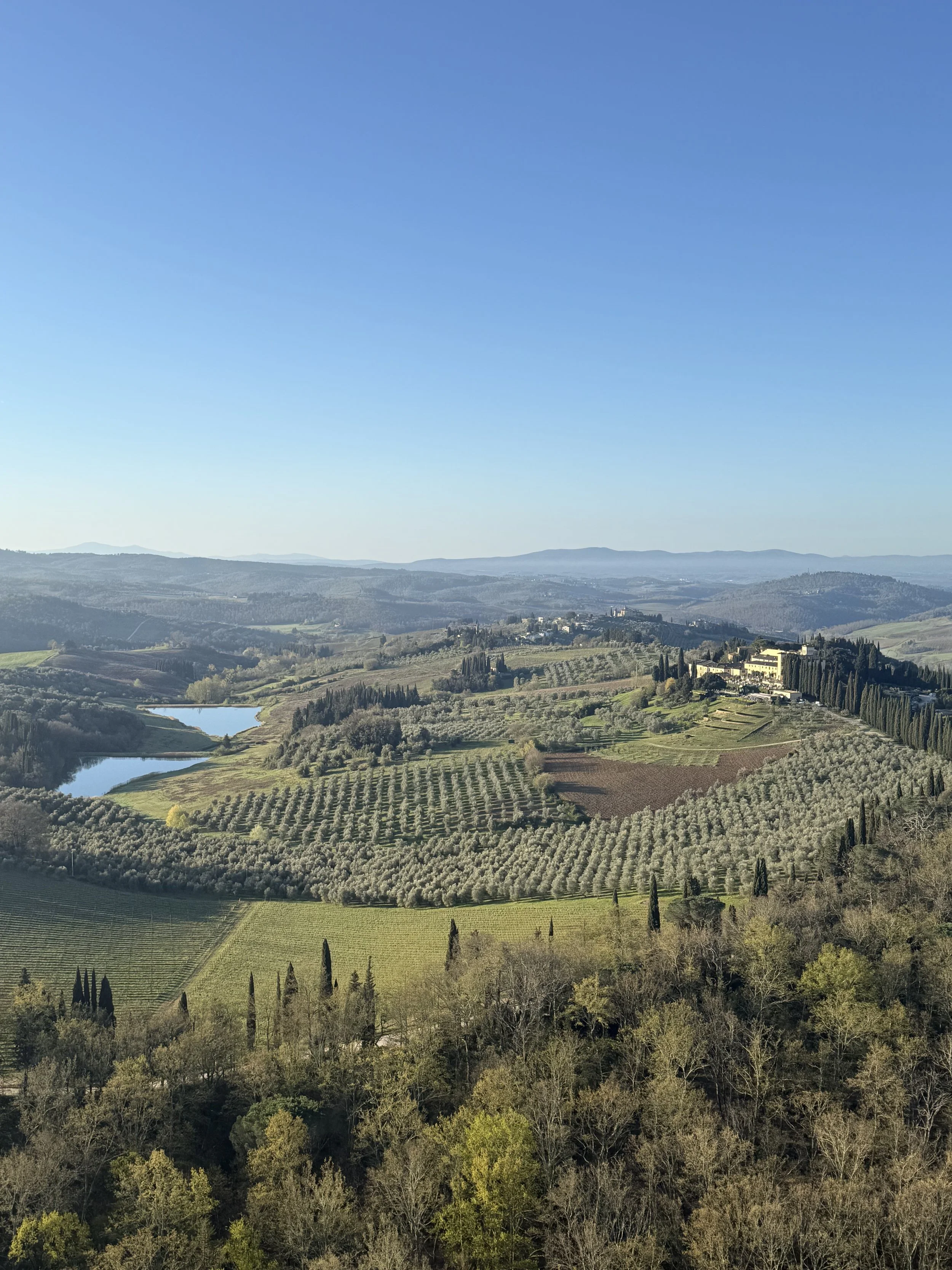 A scenic landscape of rolling hills covered with vineyards, cypress trees, and a small lake, with a clear blue sky in the background.
