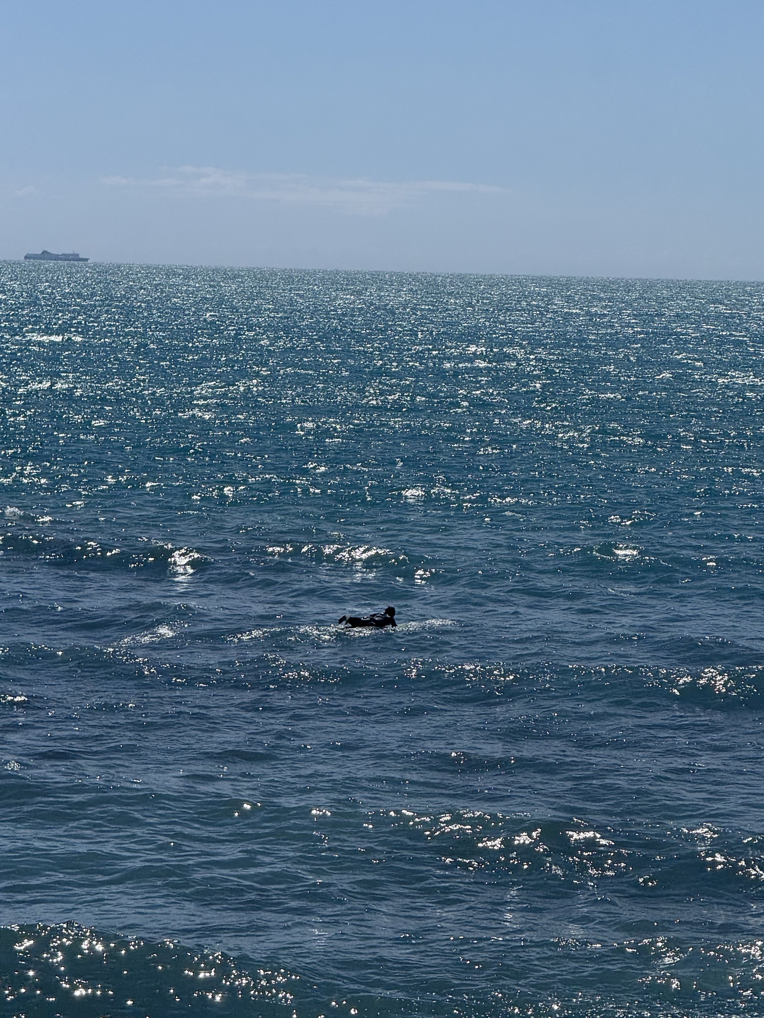 A large body of water with sunlight reflecting off the surface, and a ship in the distance near the horizon, with a dog swimming in the foreground.