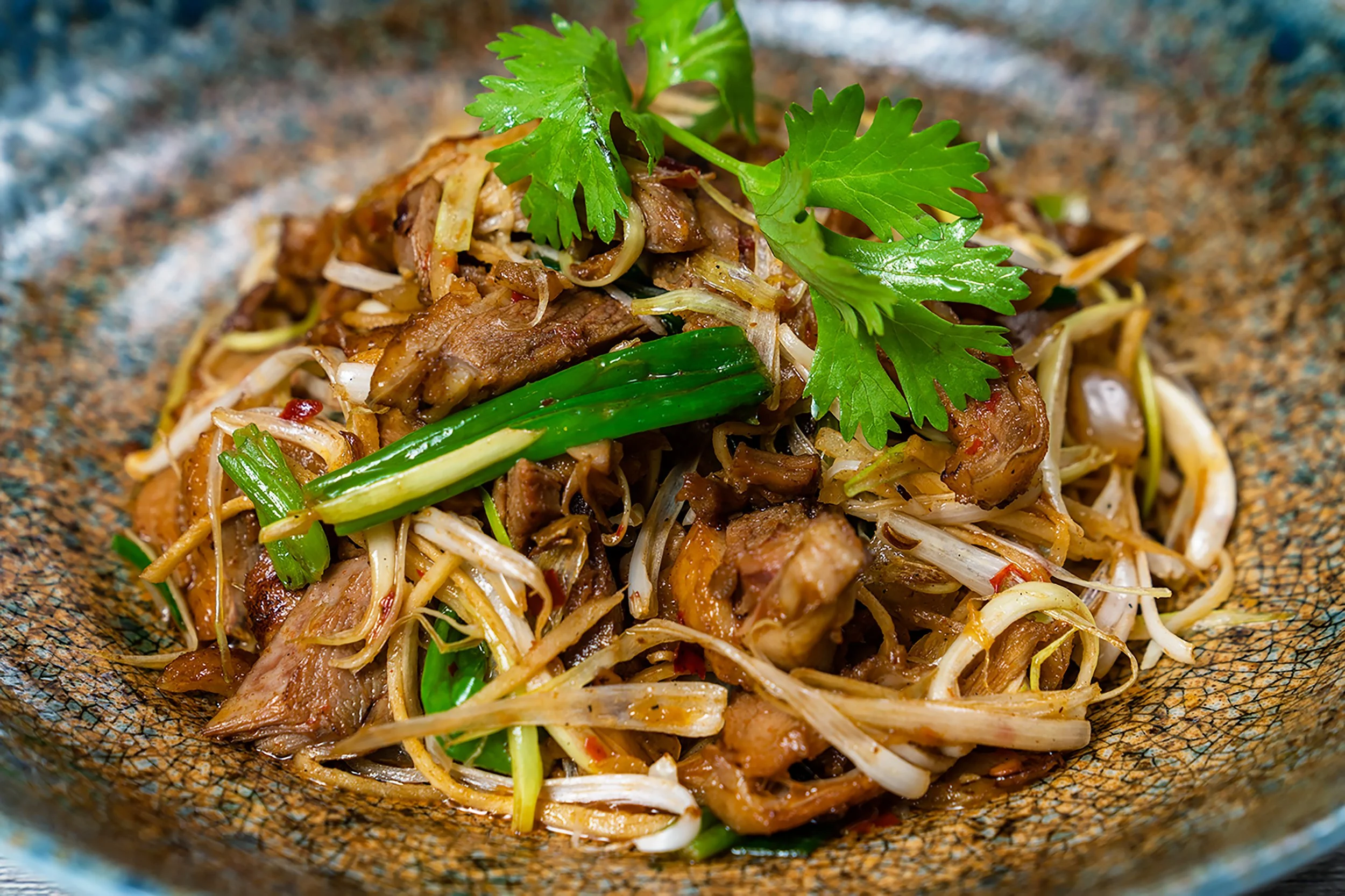 A plate of stir-fried noodles with sliced beef, bean sprouts, chopped green onions, and cilantro garnished on top.
