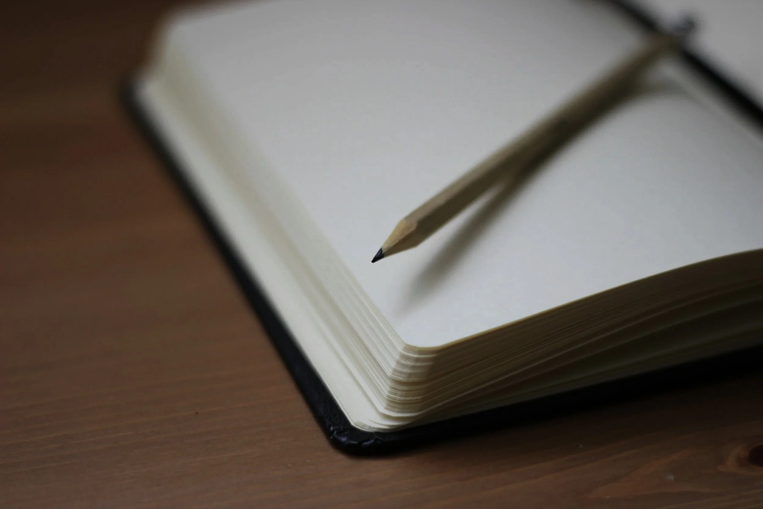 Neurodiversity Affirming Business Consultations