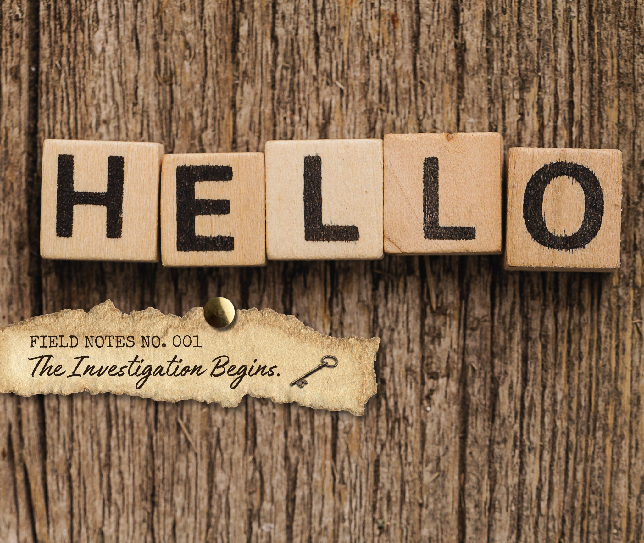 Welcome to Ink &amp; Alibi 