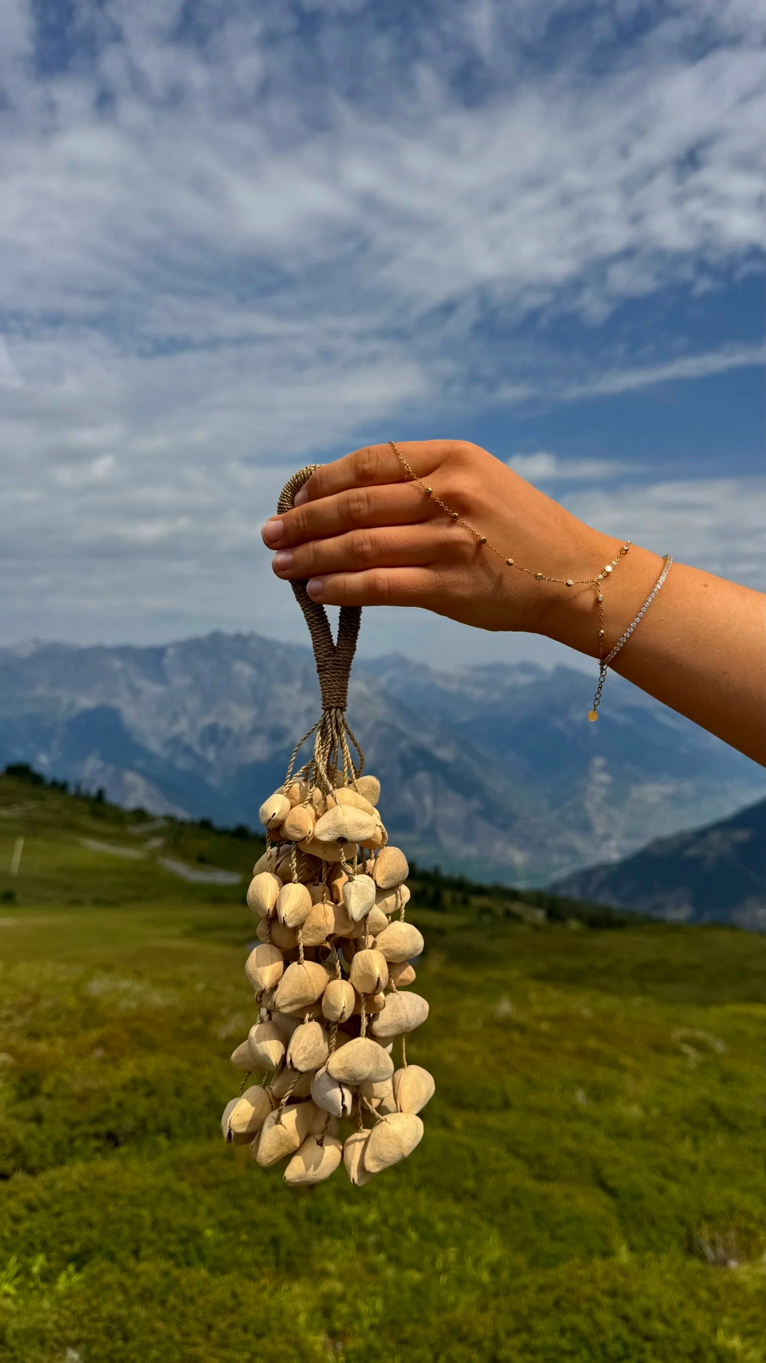 A hand holding a shamanic Kenari seed rattle  with a scenic mountain landscape and cloudy blue sky in the background.