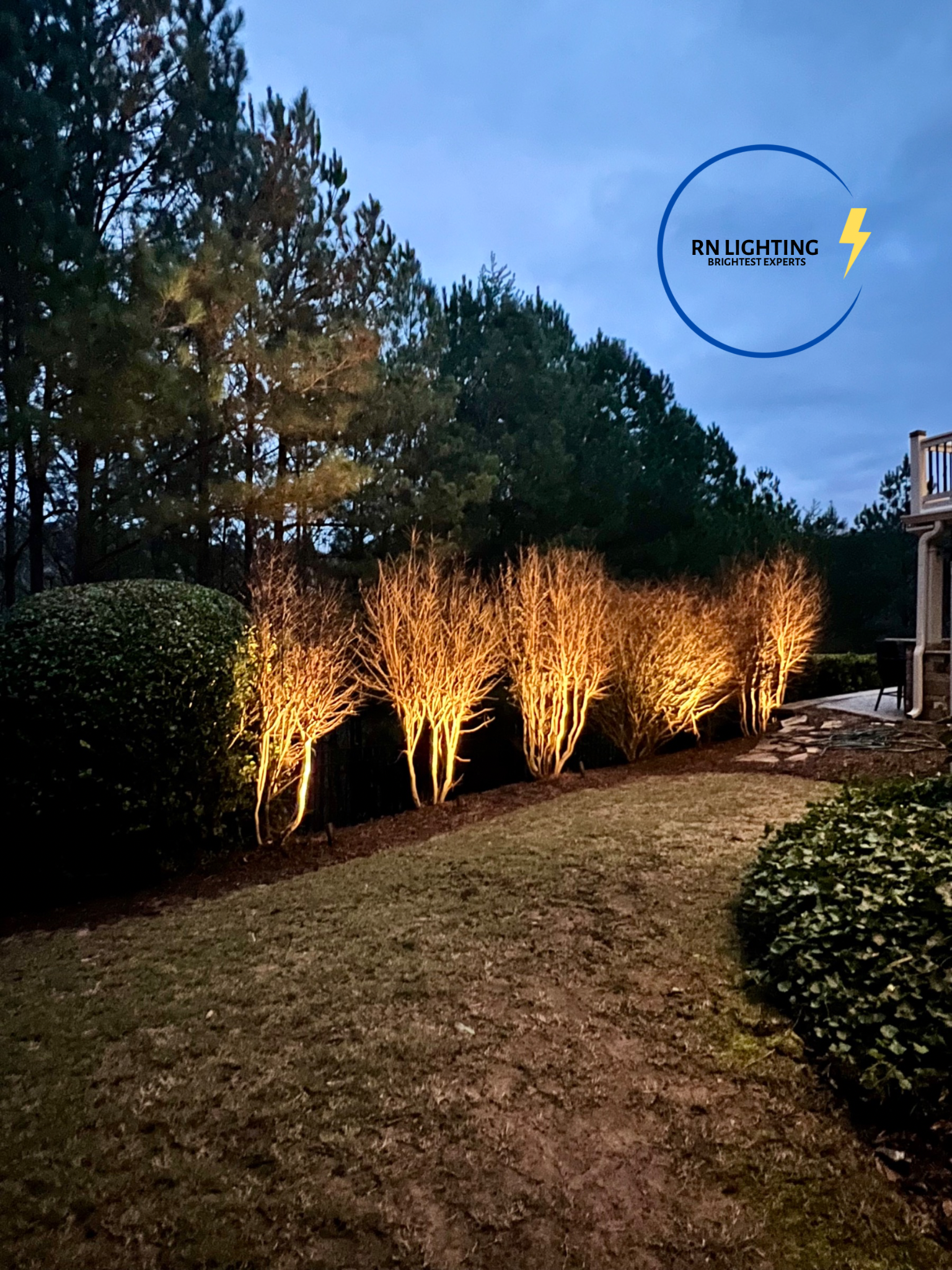 A backyard scene at dusk with trees illuminated by outdoor lighting, a lawn, and a backyard patio area.