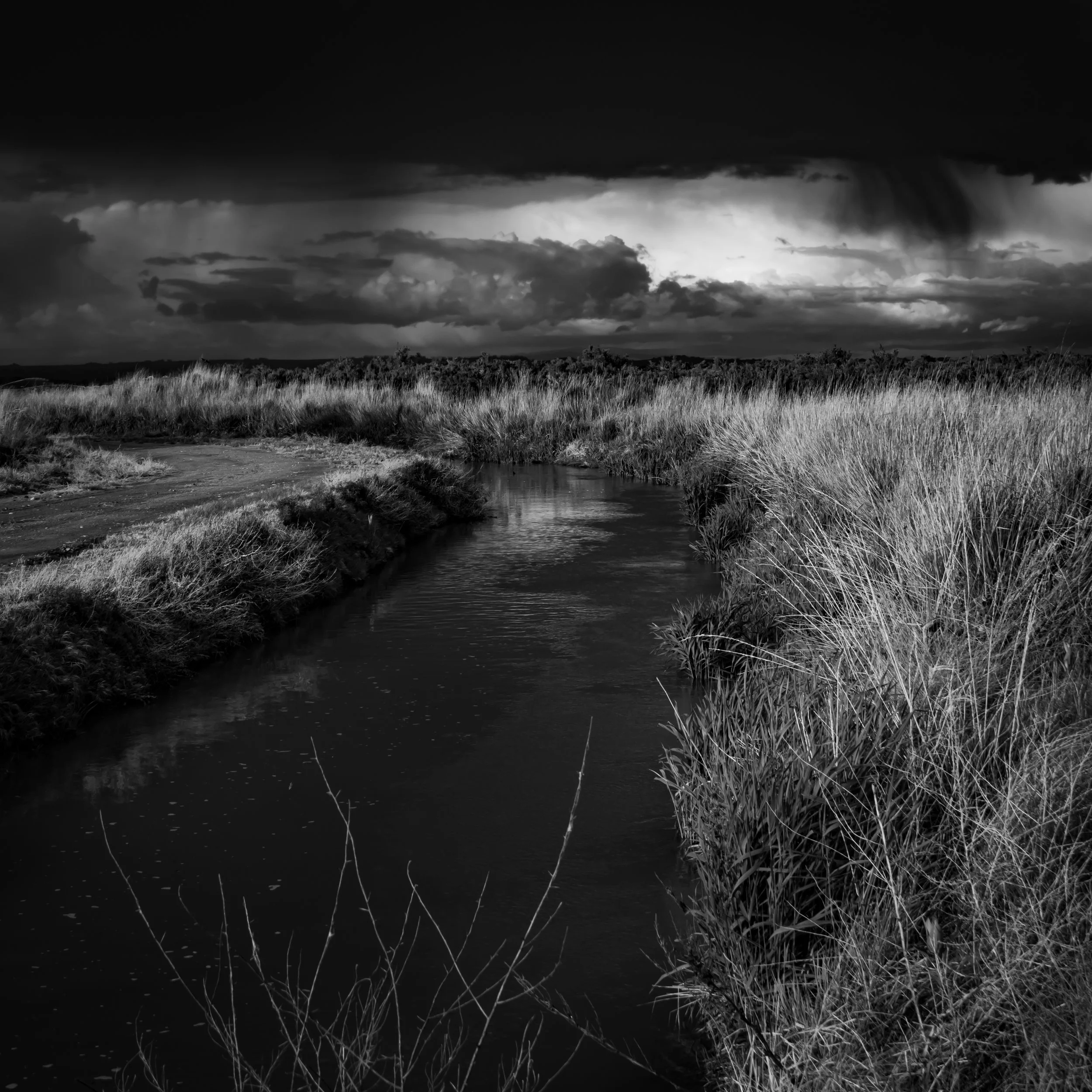 Black and white photograph of a landscape with a cloudy sky, grassy fields, and a small water body reflecting the sky.
