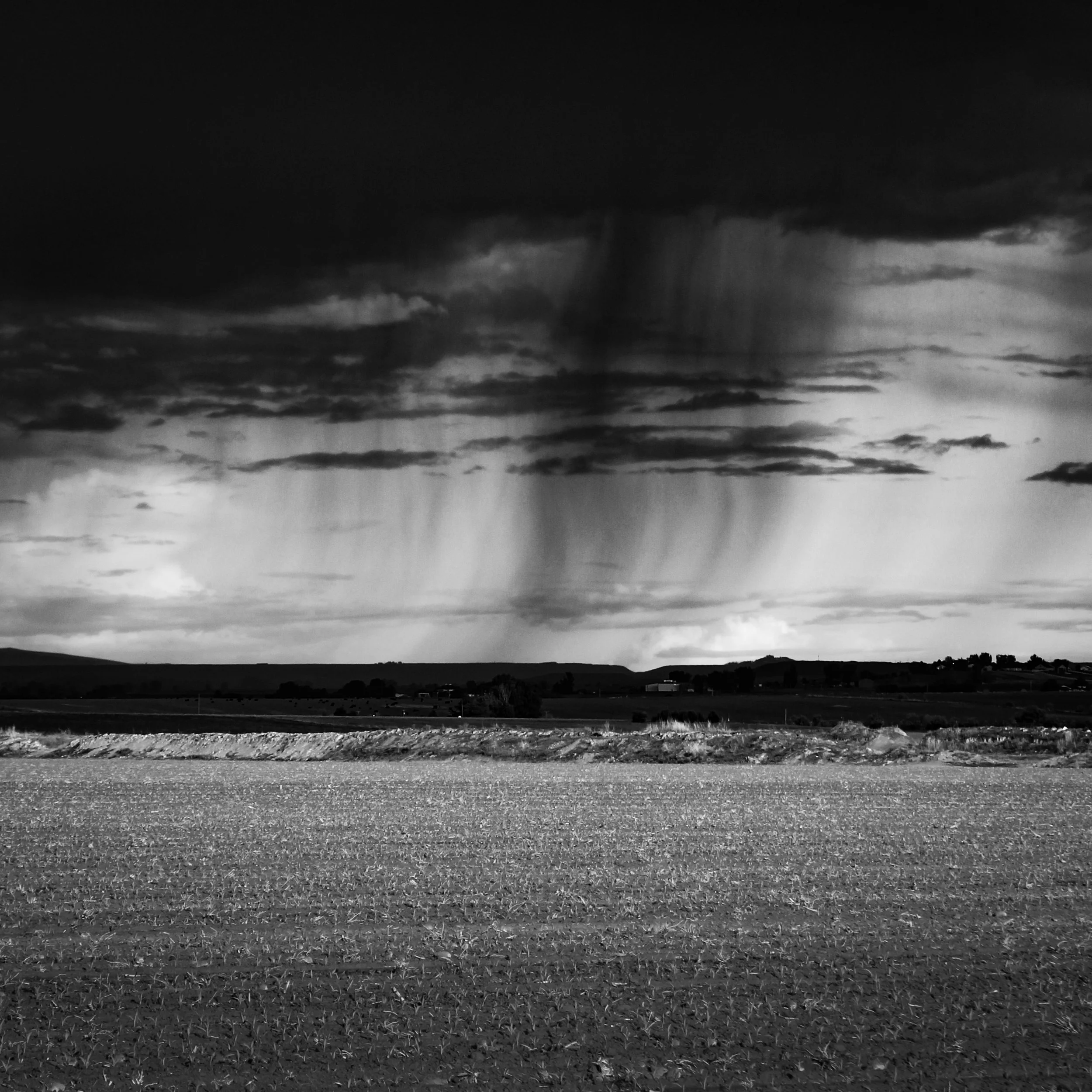 Black and white photo of a rural landscape featuring a field with small plants, distant hills, and a dramatic sky with dark clouds, suggesting an approaching storm.