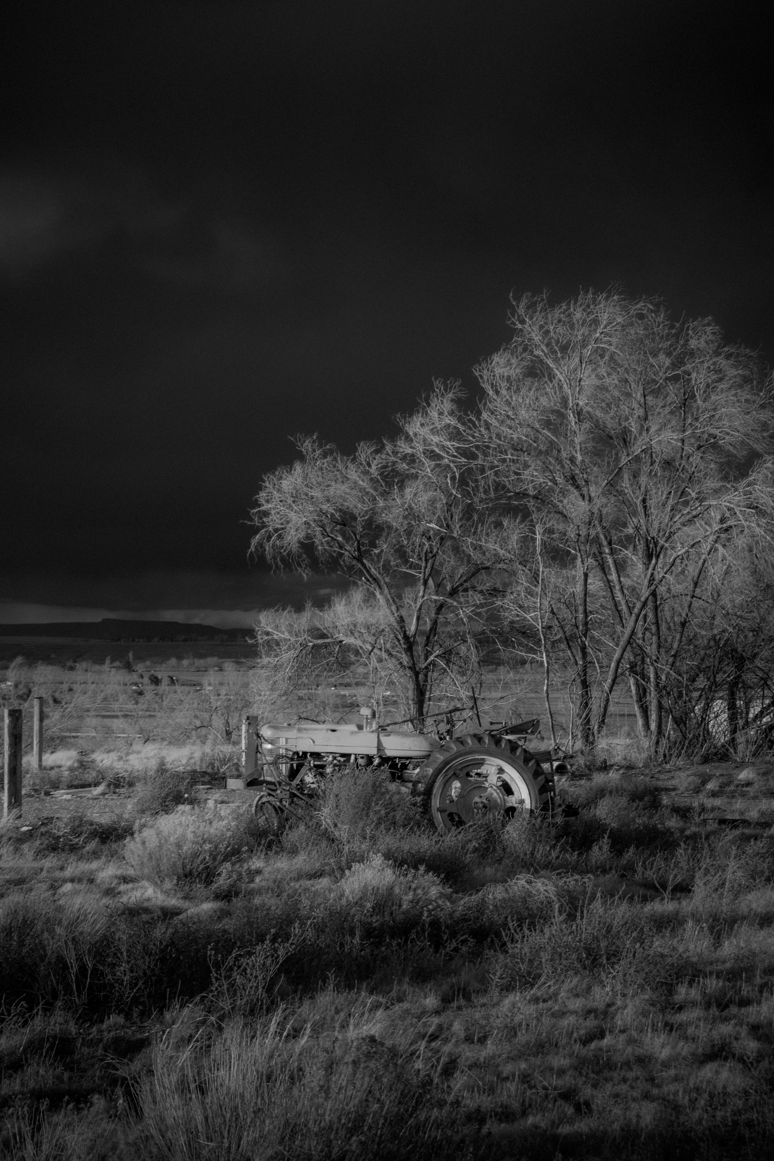 Black and white photo of leafless trees in a field with a tractor in the foreground, taken at night with a dark sky.