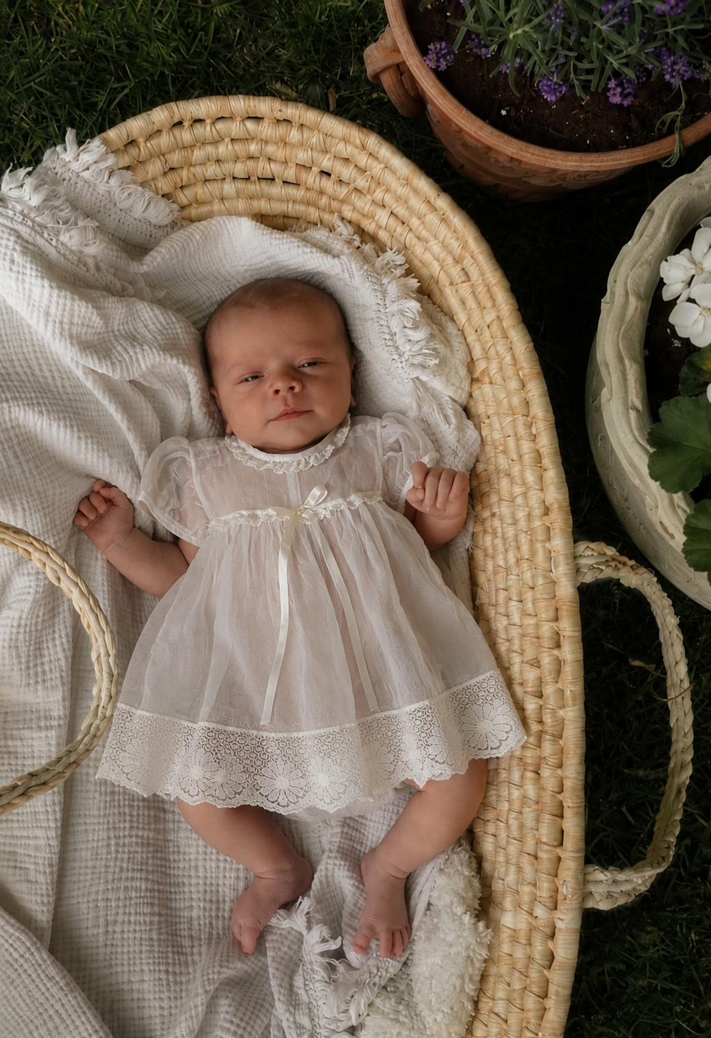 The Delilah dress 3-6m