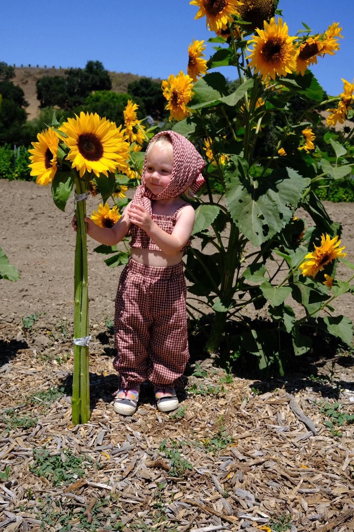 Harvest Gingham Toddler Balloon-Pant Set