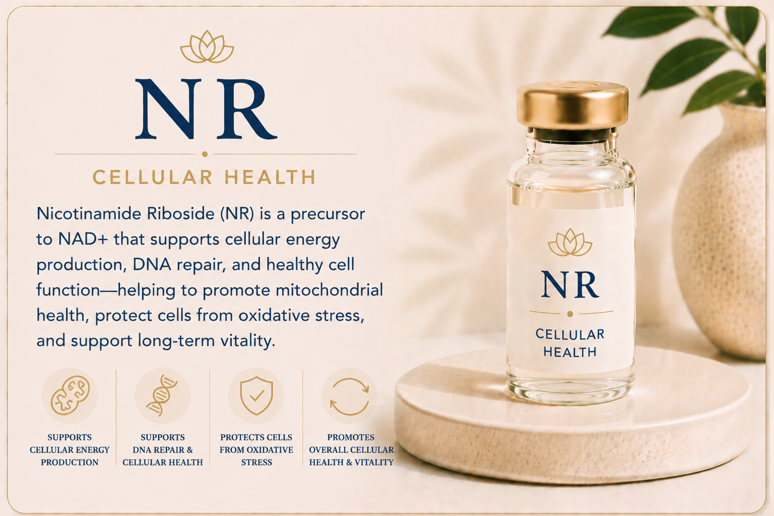 Educational overview of nicotinamide riboside (NR) supporting cellular energy production, DNA repair, mitochondrial health, and healthy cell function.