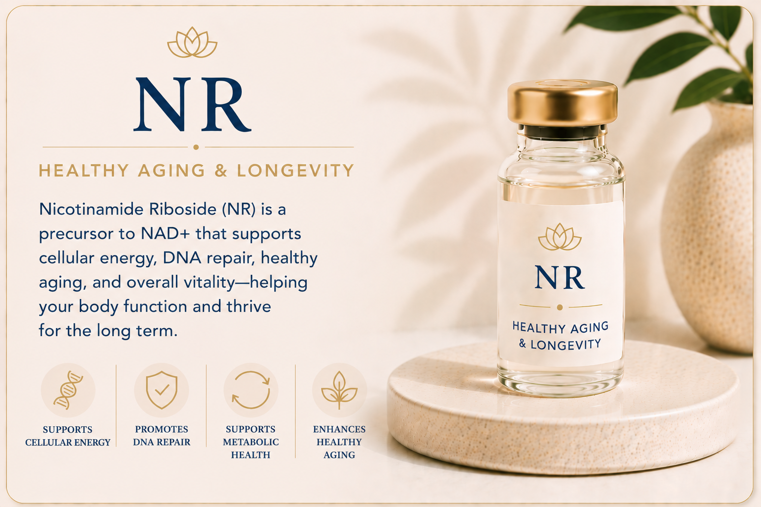 Educational overview of nicotinamide riboside (NR) supporting healthy aging, cellular energy production, DNA health, and long-term vitality.