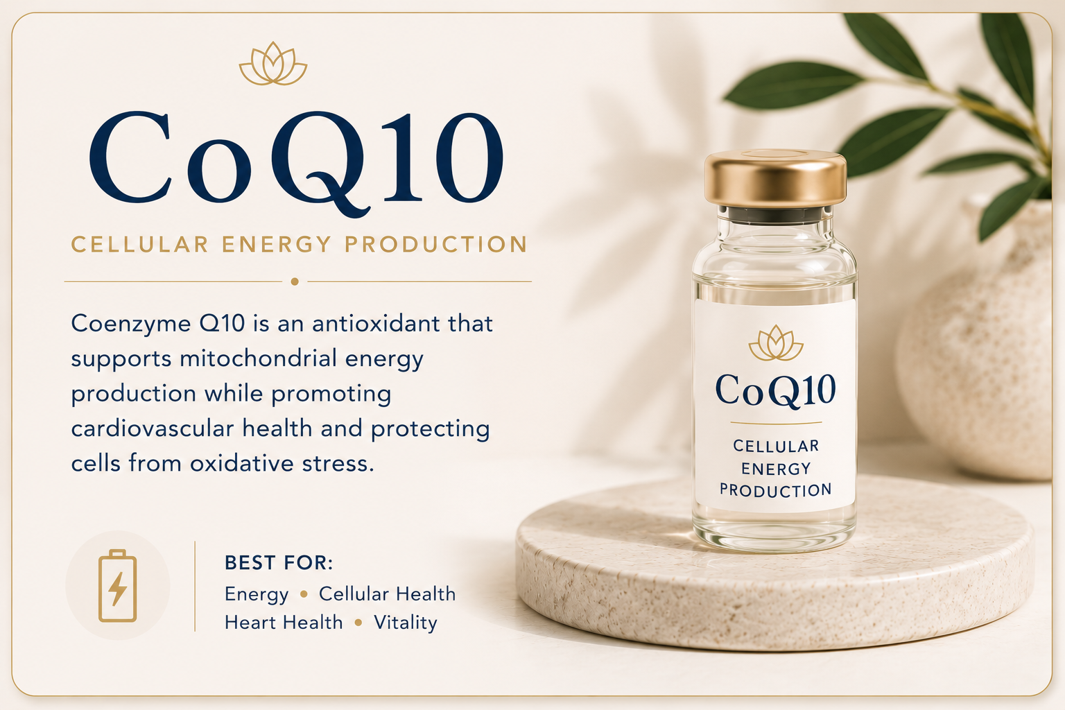 Educational overview of CoQ10 for mitochondrial energy production, cardiovascular wellness, antioxidant protection, and cellular health.