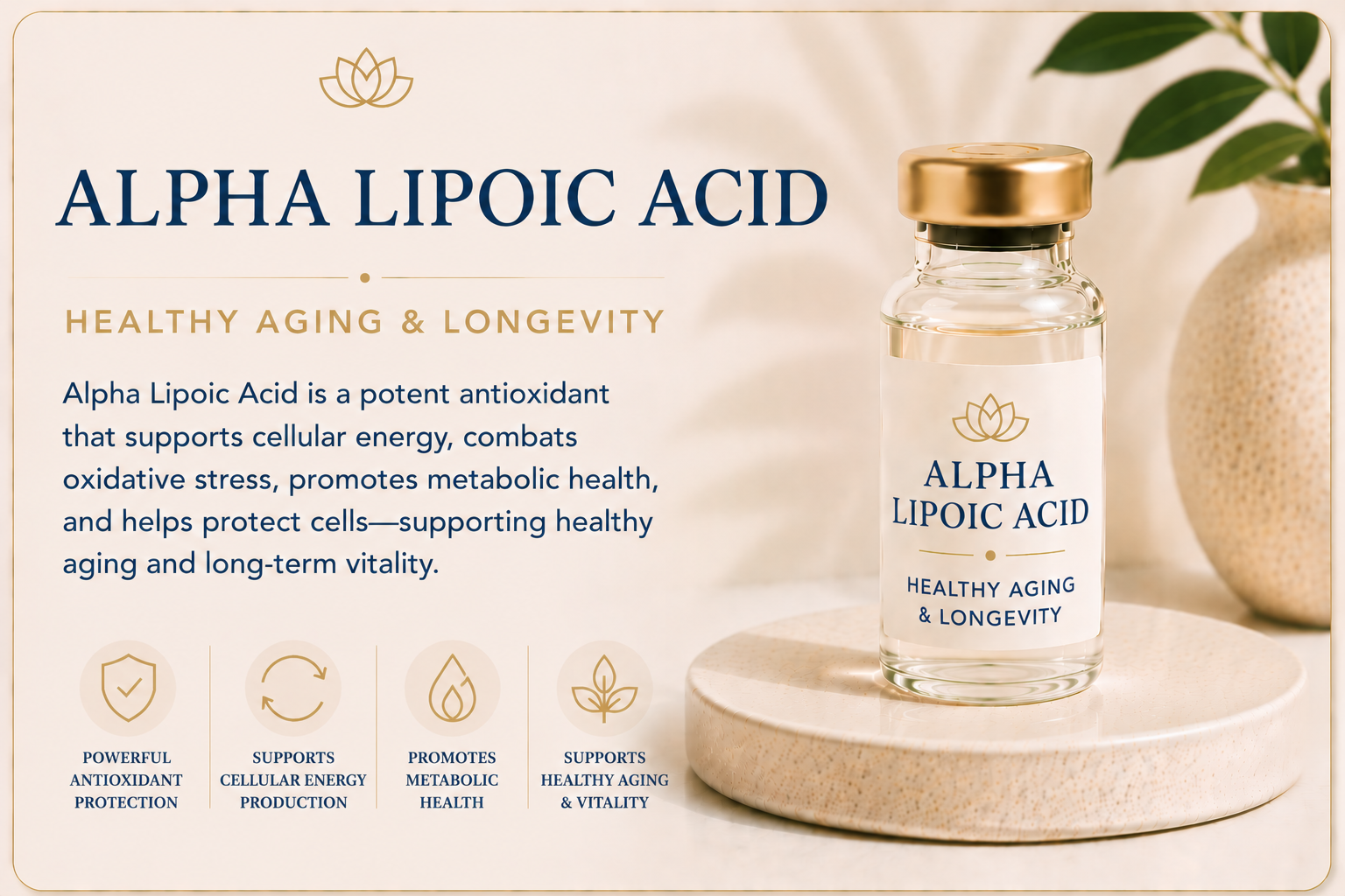 Educational overview of Alpha Lipoic Acid supporting antioxidant protection, healthy aging, cellular energy production, metabolic wellness, and nerve health.