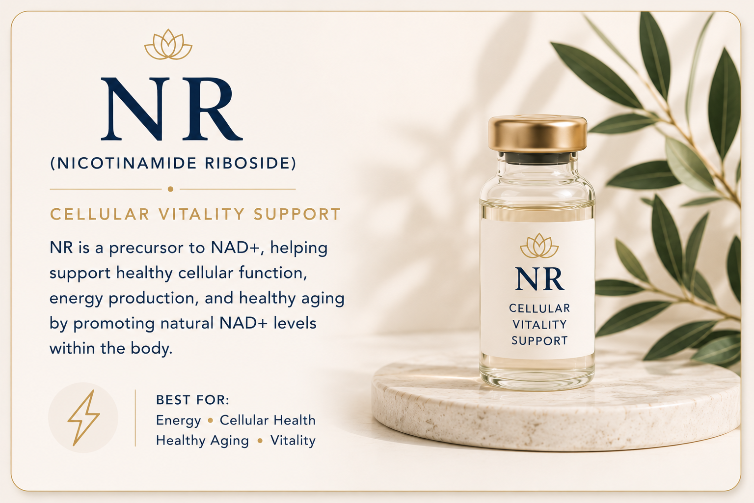 Educational overview of nicotinamide riboside (NR), a precursor to NAD+ that supports cellular health, energy production, vitality, and healthy aging.