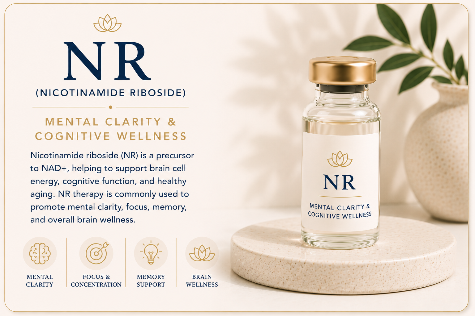 Educational overview of nicotinamide riboside (NR) supporting mental clarity, cognitive performance, healthy brain function, and cellular energy.