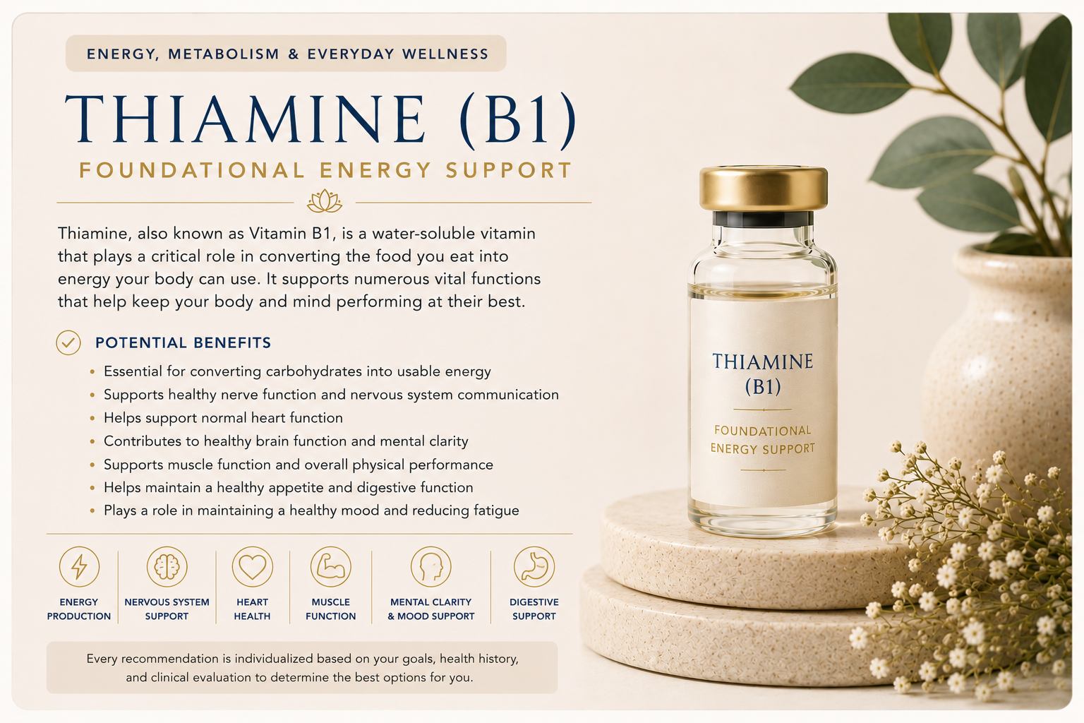Educational wellness graphic explaining Thiamine (Vitamin B1) and its role in supporting energy production, nervous system function, heart health, brain function, muscle performance, and overall wellness.