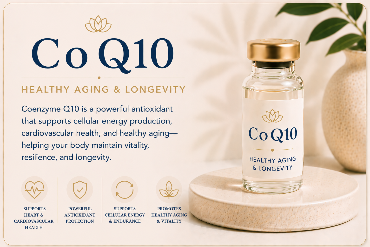Educational overview of CoQ10 supporting healthy aging, cellular energy production, cardiovascular wellness, antioxidant protection, and long-term vitality.