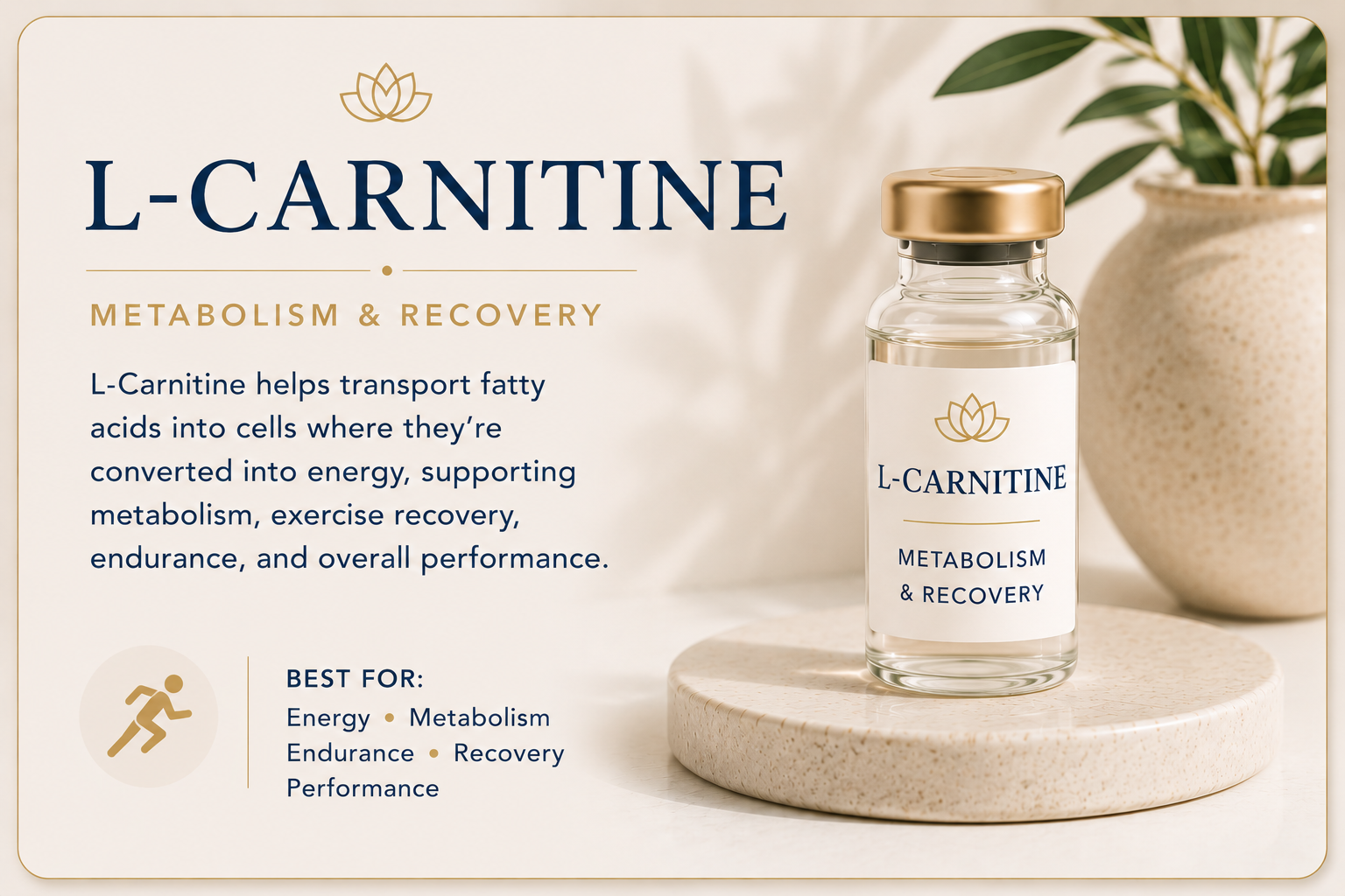 Educational overview of L-Carnitine for metabolism, energy production, exercise recovery, endurance, and overall physical performance.