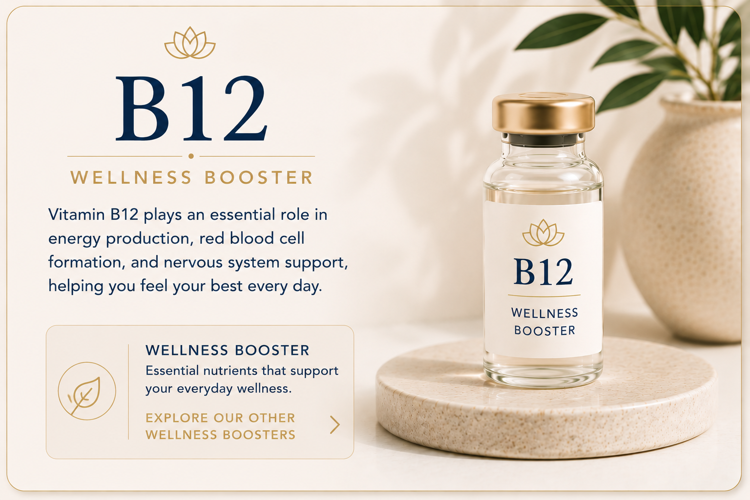Educational overview of Vitamin B12 wellness booster supporting energy production, red blood cell formation, nervous system health, and everyday wellness.