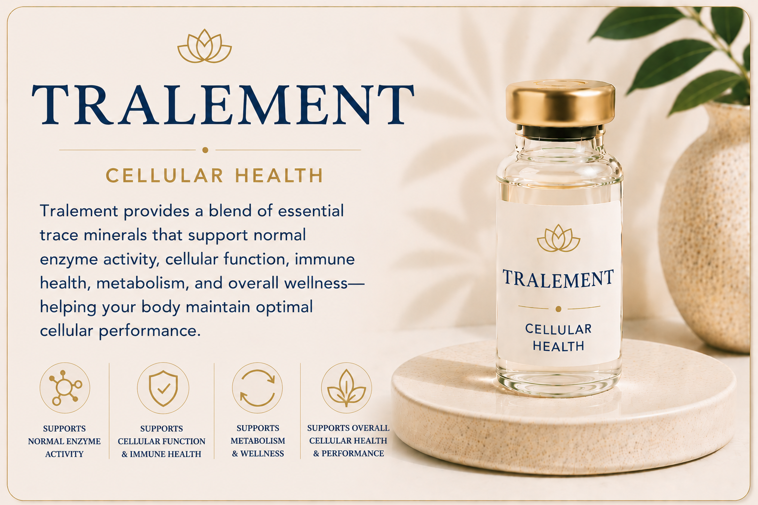 Educational overview of Tralement providing essential trace minerals that support enzyme activity, cellular function, metabolism, and overall cellular health.