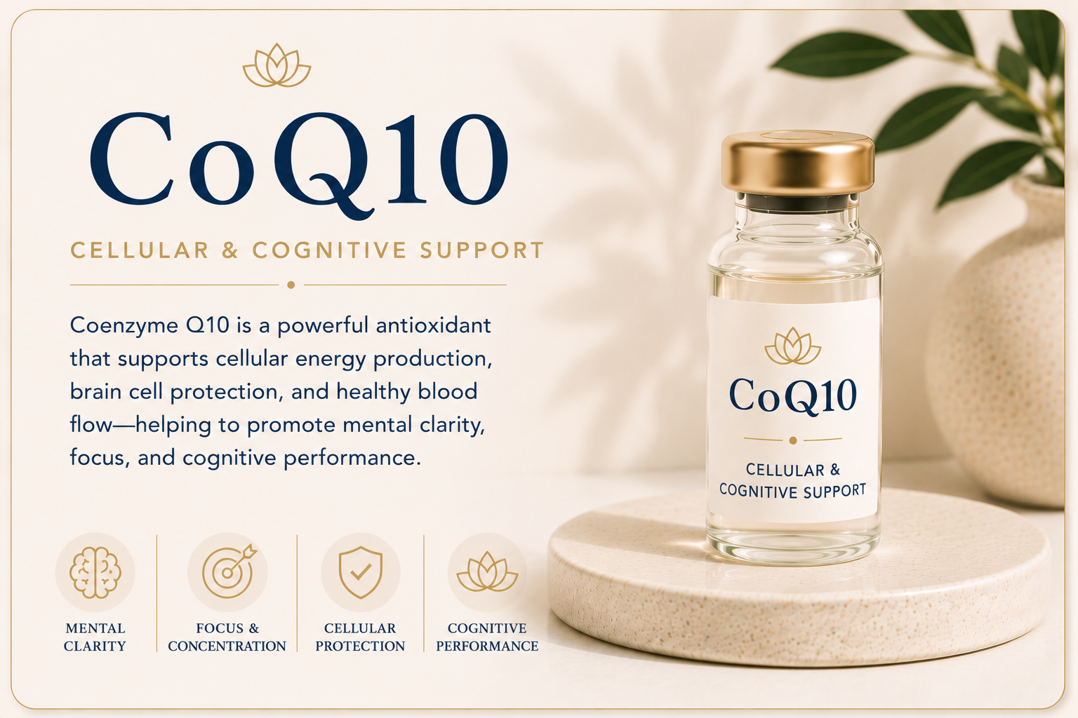 Educational overview of CoQ10 supporting mental clarity, cellular energy production, cognitive wellness, antioxidant protection, and brain health.