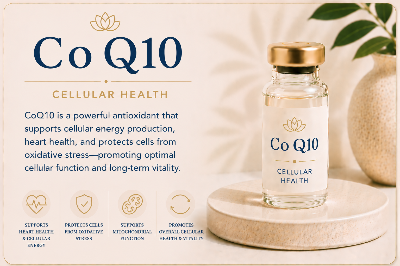 Educational overview of CoQ10 supporting mitochondrial energy production, antioxidant protection, cellular health, and healthy cell function.