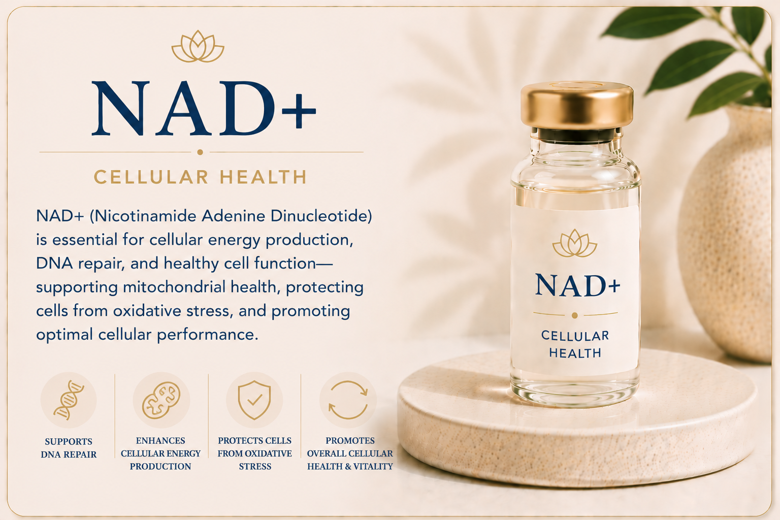 Educational overview of NAD+ therapy supporting cellular energy production, DNA repair, mitochondrial function, and overall cellular health.