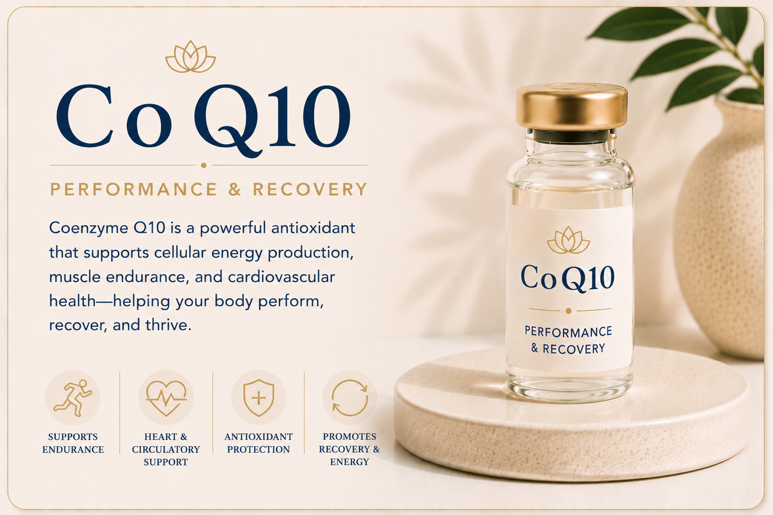 Educational overview of CoQ10 supporting cellular energy production, exercise endurance, cardiovascular wellness, antioxidant protection, and recovery.
