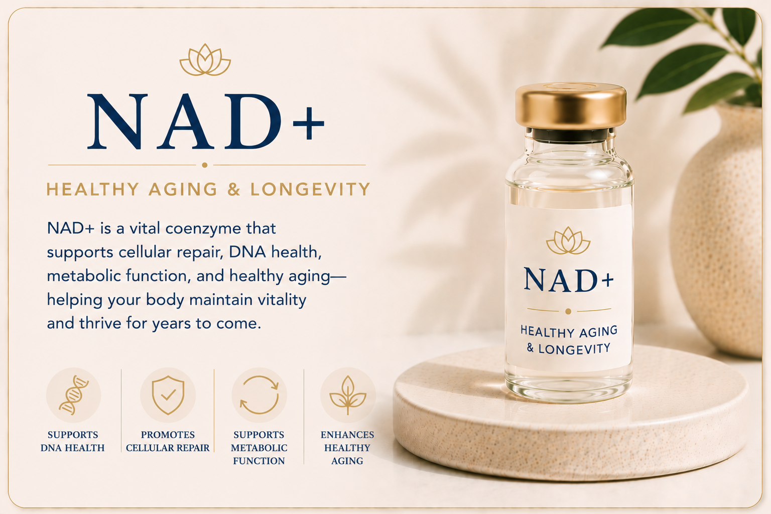 Educational overview of NAD+ therapy supporting healthy aging, cellular repair, DNA health, metabolic function, and long-term vitality.