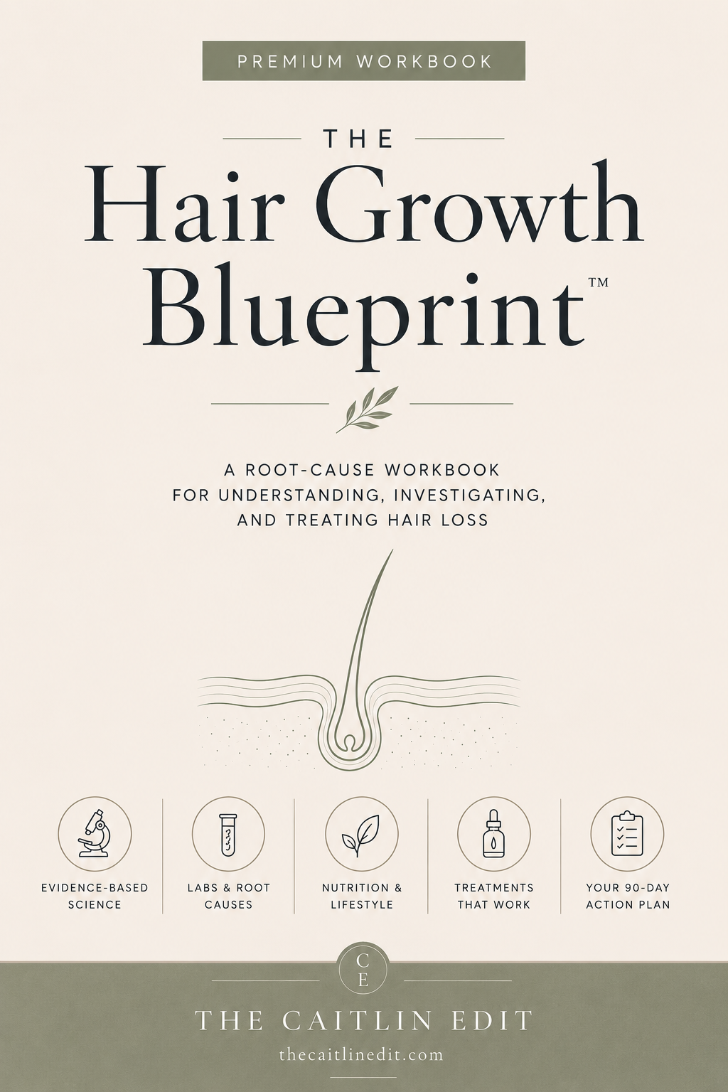 The Hair Growth Blueprint