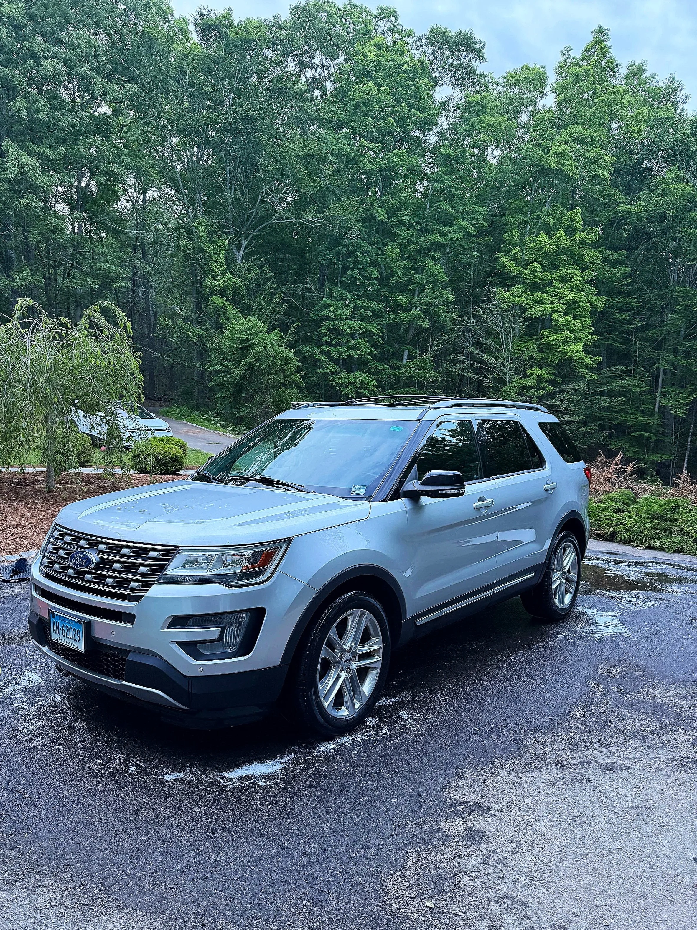 A silver Ford SUV parked on a wet asphalt driveway near a garden area with small shrubs, trees, and a dense green forest in the background under a cloudy sky.