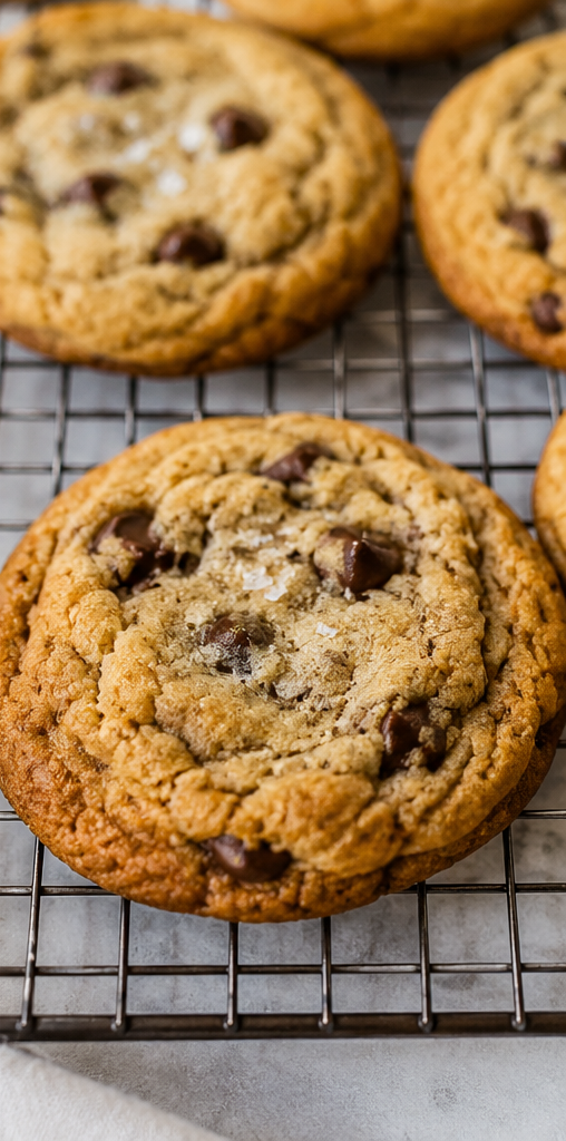 chocolate_chip_cookie_3.png